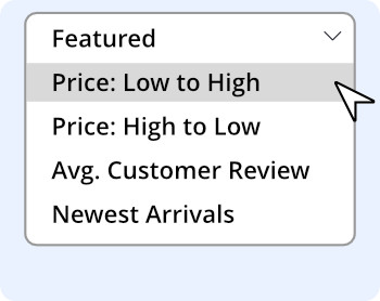 faceted filter example: by price(low-high,high-low),average customer review and newest products